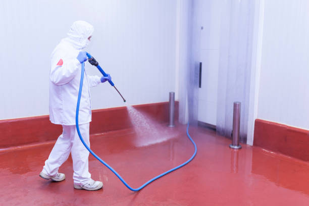 Best Fleet Vehicle Washing  in Concordia, NJ